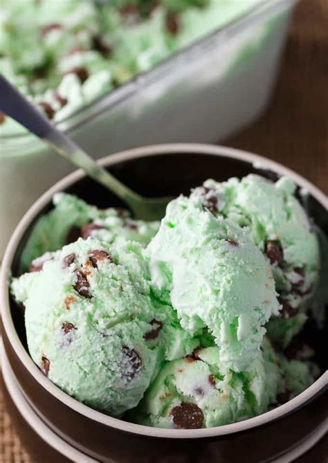 Mint Chocolate Chip Ice Cream - Simply Stacie