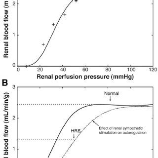 ( A ) Relation of renal blood flow to renal perfusion pressure, using ...