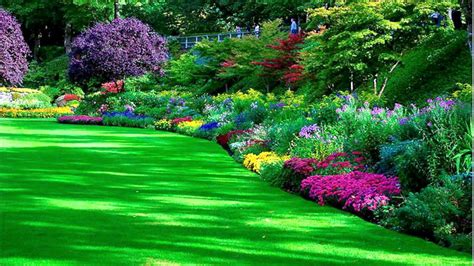 Garden Images Hd Free Download Garden Park HD Pretty | Flower garden images, Beautiful flowers ...