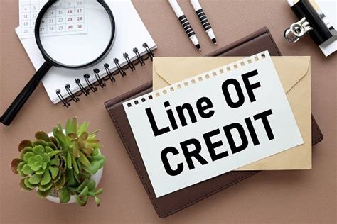 LINE OF CREDIT | Rg Sacco Ltd.