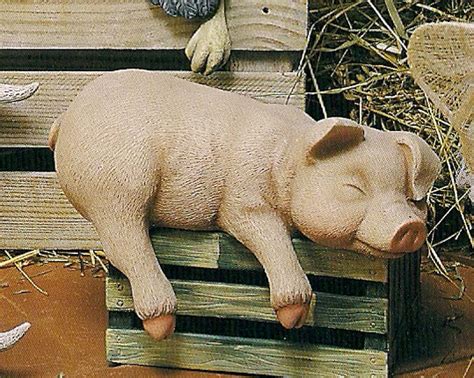 Sleeping Pig