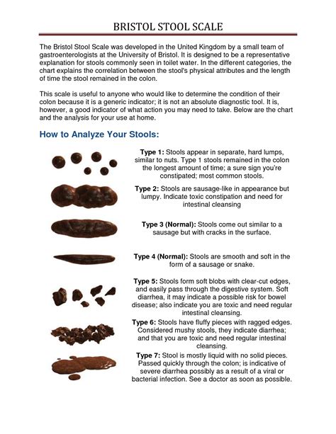 The Bristol Stool Scale - what your stool indicates about your state of health based on shape ...