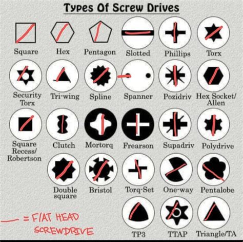 Types Of Screw Drives Square Hex Pentagon Slotted Phillips Torx ...