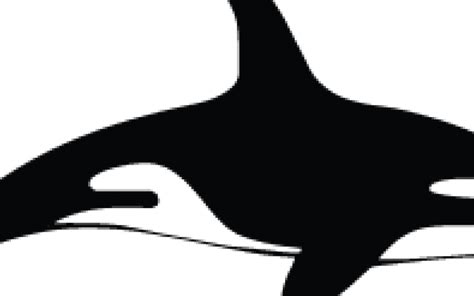 Orca Silhouette Clip Art - Orca Silhouette Clip Art - Full Size PNG Clipart Images Download