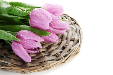 Premium Photo | Beautiful bouquet of purple tulips, isolated on white