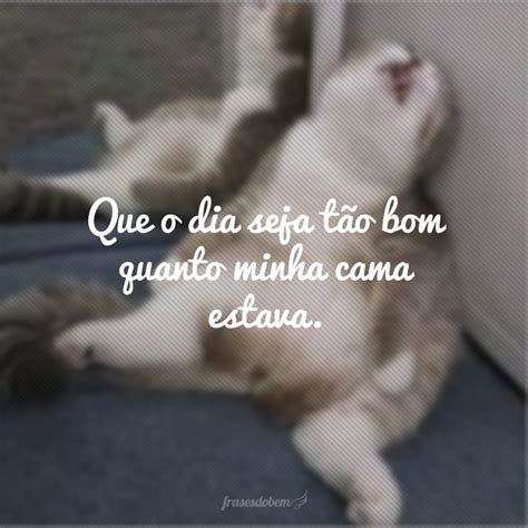 Frases Engra adas De Bom Dia Para Status Quem cedo madruga fica com ...