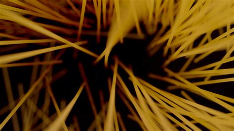 435 Semolina wheat Stock Video Footage - 4K and HD Video Clips | Shutterstock