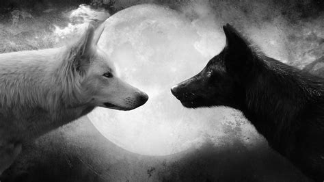 Wolf wallpaper HD ·① Download free amazing full HD backgrounds for desktop, mobile, laptop in ...