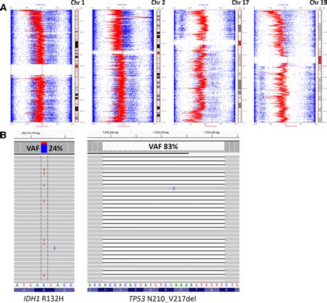 Single nucleotide polymorphism (SNP) array data using Illumina... | Download Scientific Diagram