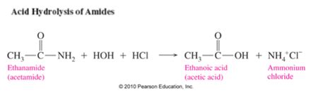 Hydrolysis of Amides Flashcards | Quizlet