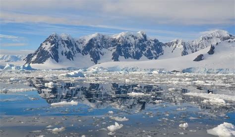 How Does Climate Change Impact Antarctica? How Can We Help in 2023 ...