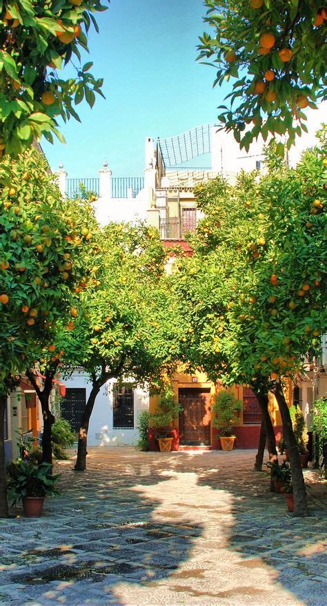 Sevilla....orange trees everywhere #Spain en 2019 | Sevilla españa, España y Lugares de españa