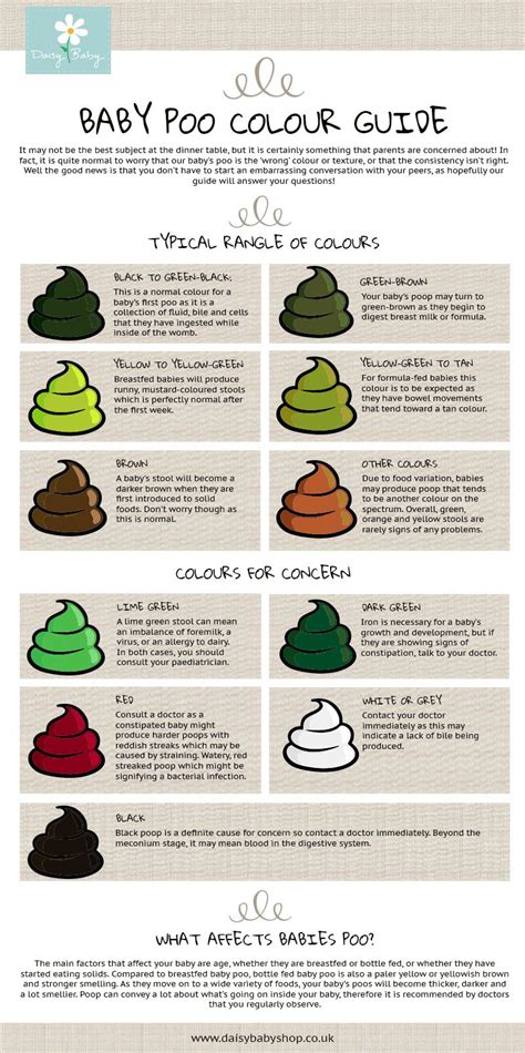 What Helps Babies Poop | Examples and Forms