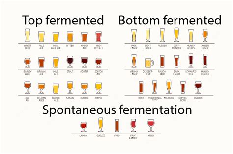 Guide: 3 types of beer – Midtfyns Bryghus – enjoy the taste of good craftsmanship