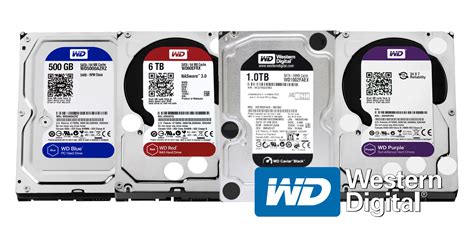 WD Blue vs. Black vs. Purple & Red - Which HDD to Purchase