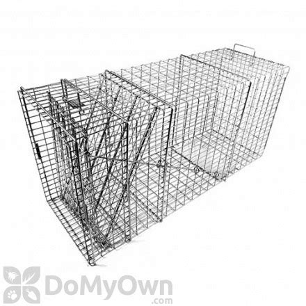 Bobcat Traps for Trapping Bobcats - Bobcat Live Cage Traps & Tips