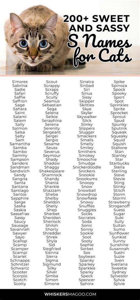 200+ Sweet and Sassy S Names for Cats - Whiskers Magoo | Cute cat names, Cute pet names, Girl ...