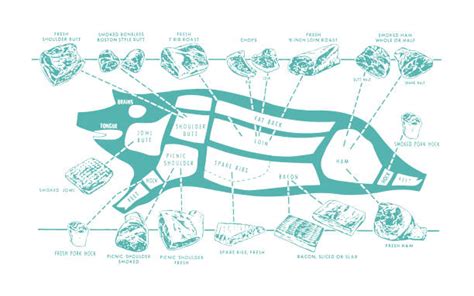 350+ Pig Butcher Chart Stock Illustrations, Royalty-Free Vector ...