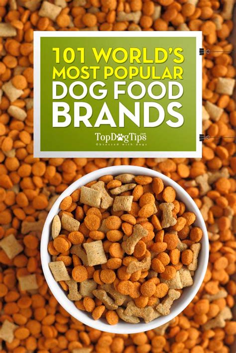 Discover the Top 10 Popular Brands of Dog Food for a Healthier and Happier Pup! - Furry Folly