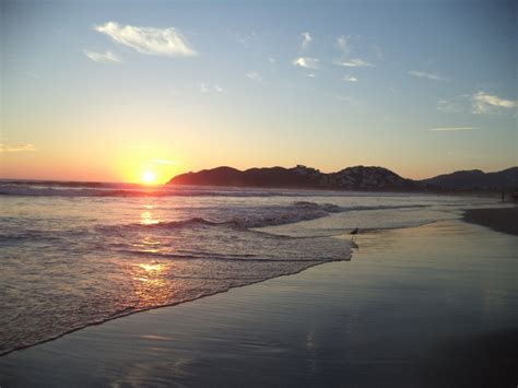 Just An Acapulco Beach Sunset With Seagull. [OC] [3456x4608] : Beachporn