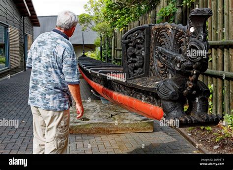 Man examines maori war canoe hi-res stock photography and images - Alamy