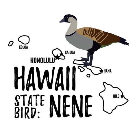 Hawaii State Bird - Bird Watching Academy