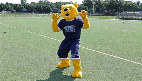 Meet Roary—New York Tech’s New Mascot | Box | New York Tech