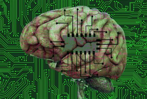 Elon Musk's Neuralink brain chip cleared for human trials - Asia Times