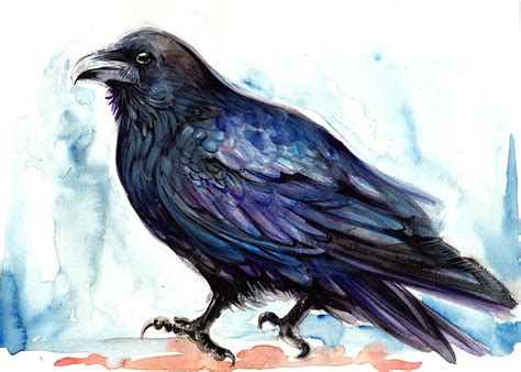 Raven Resting - Bird Art Watercolor Painting by Tiberiu Soos