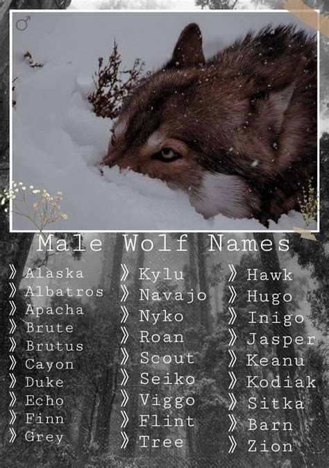 the wolf names are displayed in front of snow covered trees and bushes, with an animal's head ...