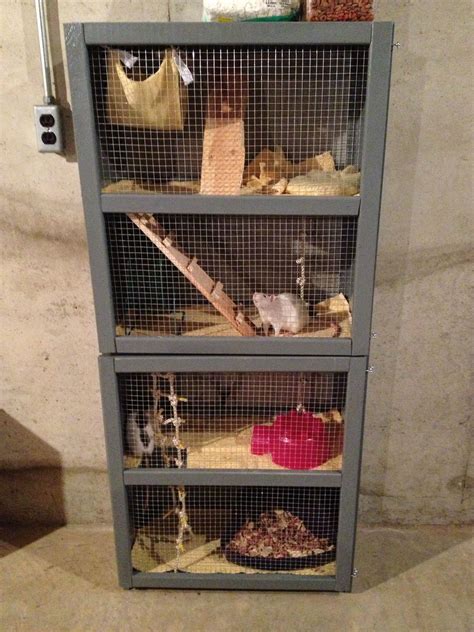 rat cage ideas diy - Gentlemanly Website Picture Gallery