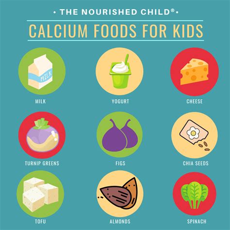 Calcium Rich Foods Chart