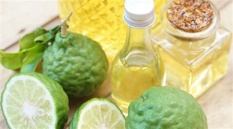 Citrus Bergamot Benefits -Bodybuilding, Cholesterol, Science