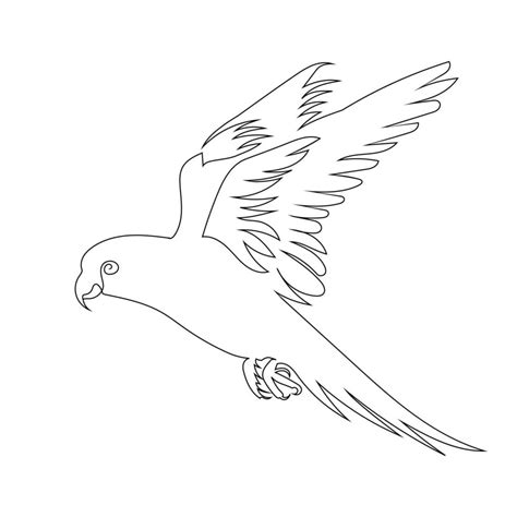 Parrot Drawing Vector Art, Icons, and Graphics for Free Download