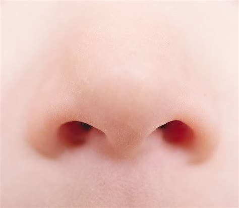 Children Nose Close Up Stock Photos, Pictures & Royalty-Free Images ...