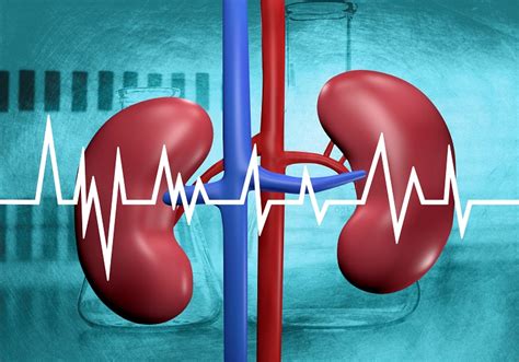 Renal DTPA SCAN - What should you know? - Tricity Healthcare