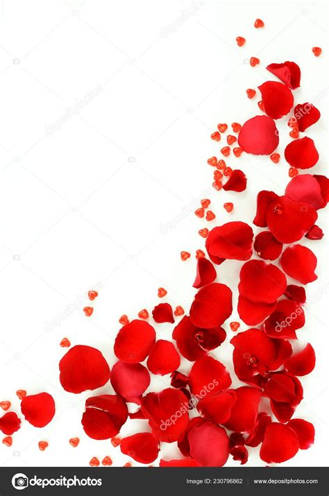 Flowers Background Red Roses Petals Red Small Hearts White Background ...