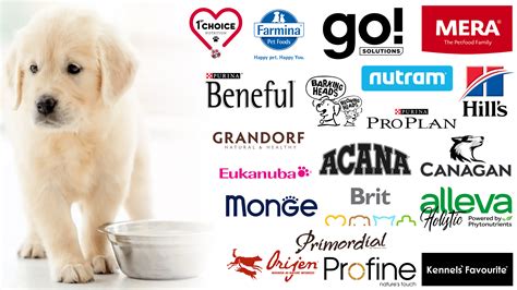 Best Dog Food Brands For Labs Factory Sale | centralcountiesservices.org