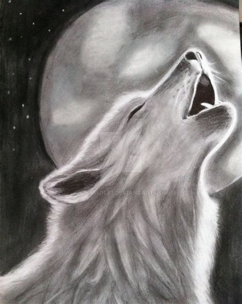 Wolf Howling Moon Drawing