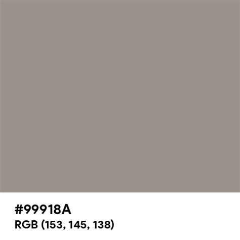 Pig Iron color hex code is #99918A