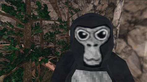 Indie VR Hit 'Gorilla Tag' is the Most-rated Quest Game Ever, and Only Just Coming to the Main ...