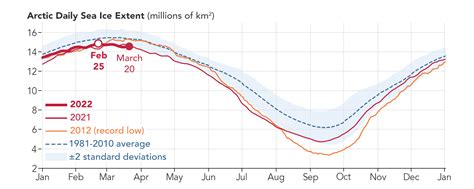 Arctic Sea Ice is More Modest than Maximal