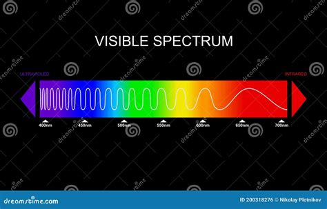 Spectrum, Visible Light Diagram. Portion of the Electromagnetic Spectrum that is Visible To the ...