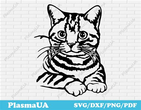 Cat Svg Download Cat Svg Cut Files for Cricut Pet Svg Image - Etsy Canada