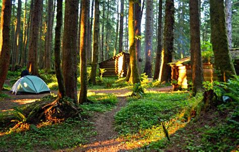 best dispersed camping oregon coast - Provocative Webcast Portrait Gallery