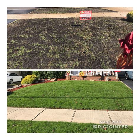 Before After Seed Sod 1 – G.S. Lawn Svc & Landscaping, LLC