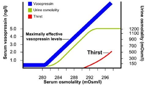 Response to changes in serum osmolality | Download Scientific Diagram