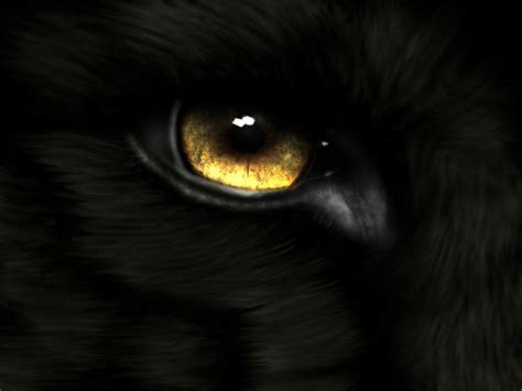 Wolf Eyes Wallpapers - Wallpaper Cave