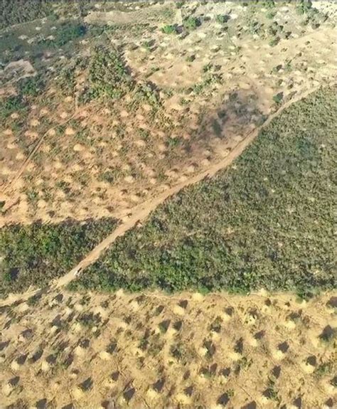 These Enormous Piles Of Dirt Were Hiding A Gross Secret