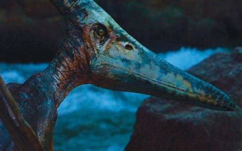 Pteranodon (Jurassic Park III) | Kingdom Hearts Fanon Wiki | FANDOM ...